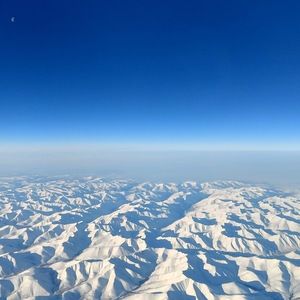 Meet your Posher, Lily